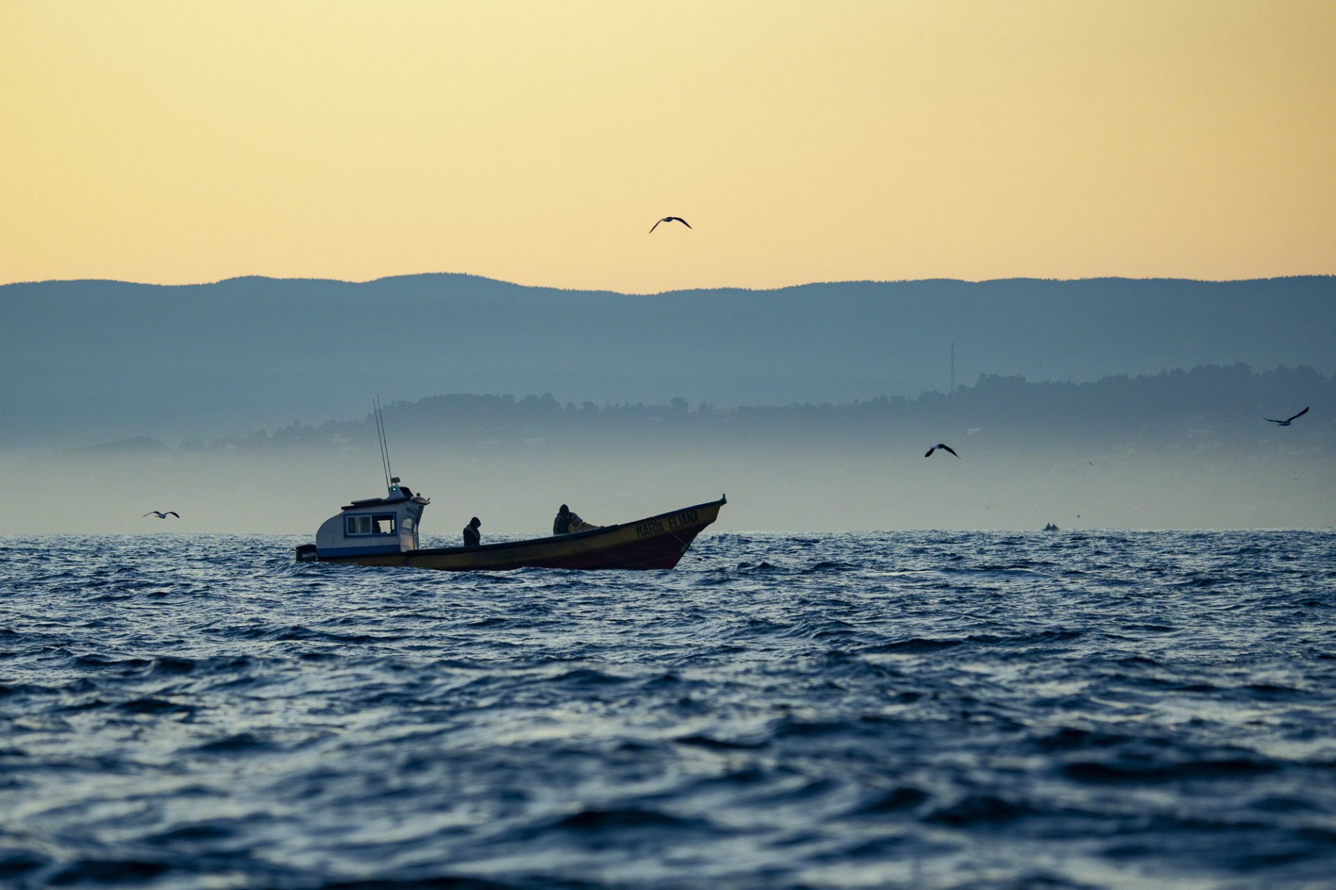 Normativa de Seguridad para la Convivencia entre Embarcaciones Menores de Pesca Artesanal y Deportistas de Olas
