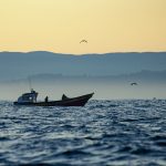 Comienza proceso licitación de alcantarillado para el centro y El Llano de Pichilemu