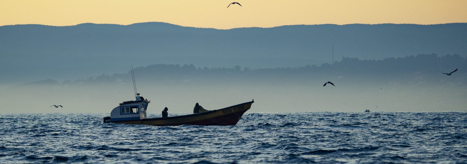 Normativa de Seguridad para la Convivencia entre Embarcaciones Menores de Pesca Artesanal y Deportistas de Olas