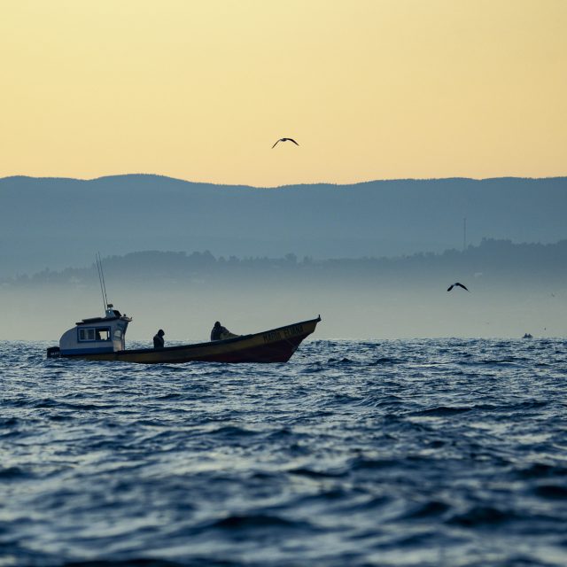 Normativa de Seguridad para la Convivencia entre Embarcaciones Menores de Pesca Artesanal y Deportistas de Olas