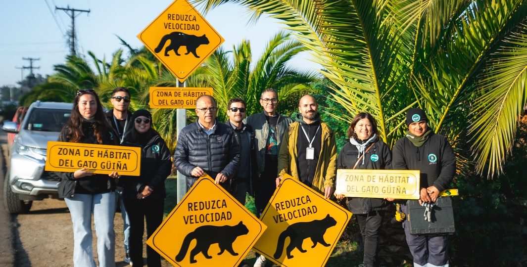 Conmemoración del Día Mundial del Medio Ambiente