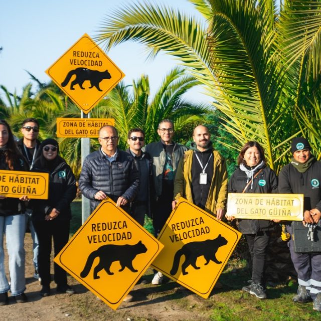 Conmemoración del Día Mundial del Medio Ambiente