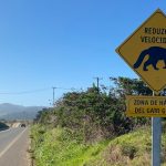 Capacitación sobre flora nativa y restauración ecológica